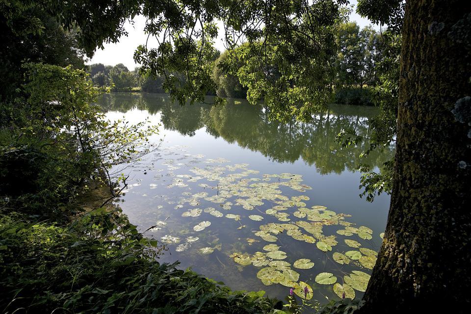 Préserver les ressources en haut Grand Cognac