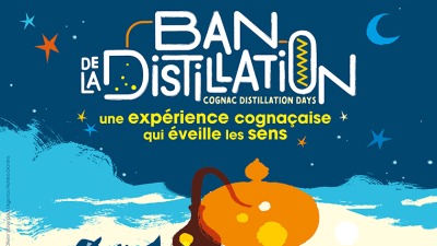 ban_distillation-2025-vignette ban_distillation-2025-vignette