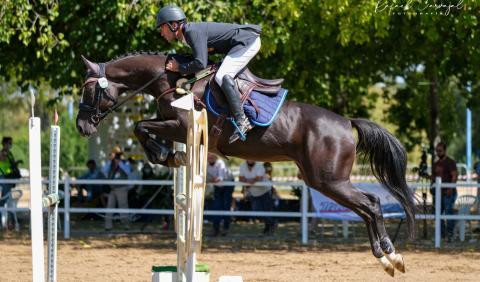 Cavalier de la Fédération d’Équitation d’Espagne