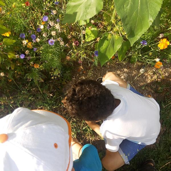 enfants observation nature-biodiversité